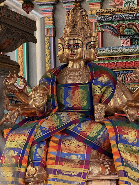 2026-01-19_15-43-21_Sharon_0397