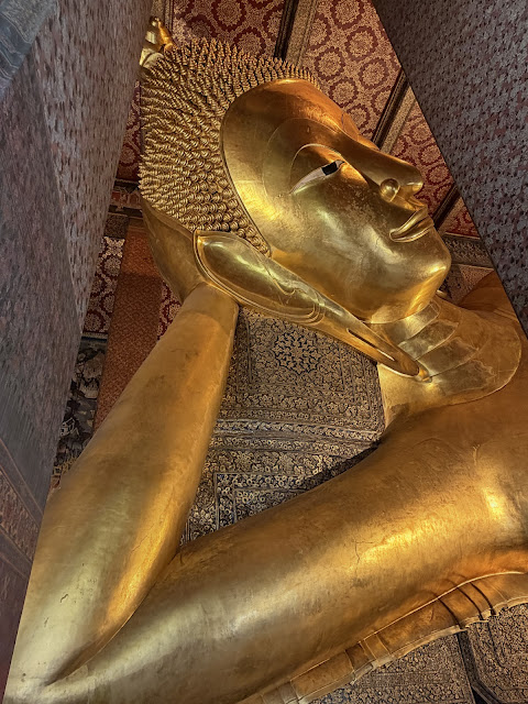 2026-01-21_09-50-32_Sharon_0828