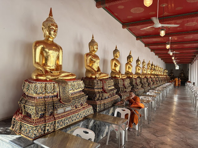 2026-01-21_10-16-47_Sharon_0872