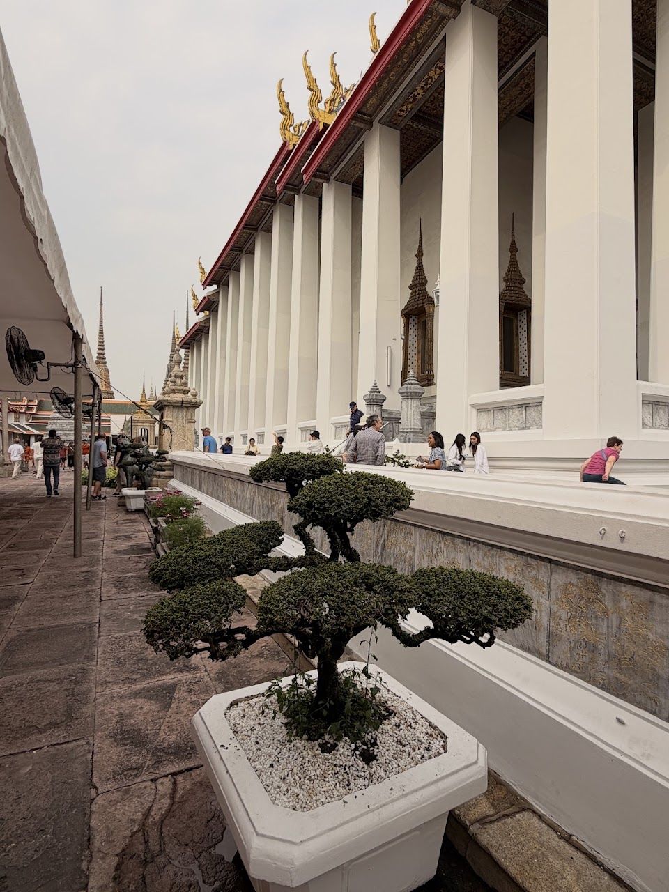 2026-01-21_10-41-30_Sharon_0898