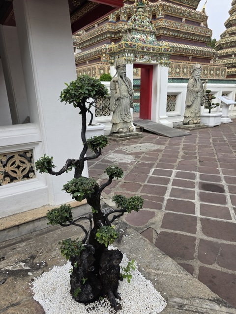 2026-01-21_10-47-12_Dayna_04