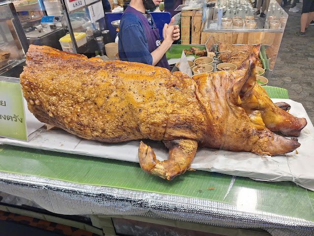 2026-01-21_11-39-49_Landon_051