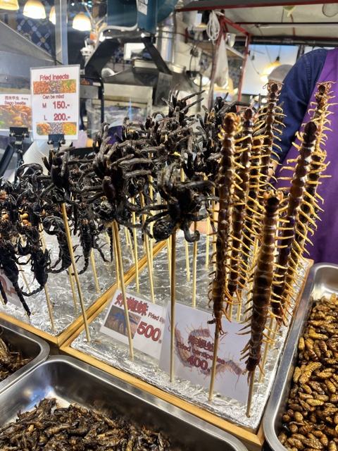 2026-01-21_12-14-46_Valerie_5873