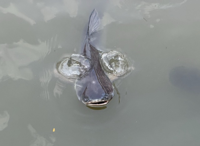 2026-01-21_13-59-40_Randy_2543