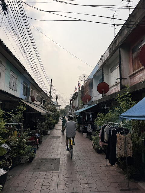 2026-01-21_14-04-46_Sharon_0976