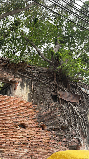 2026-01-21_14-05-03_Randy_2559