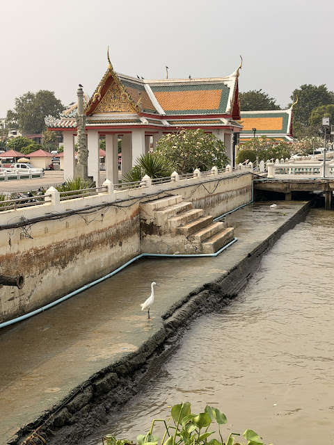 2026-01-21_14-14-40_Sharon_0984