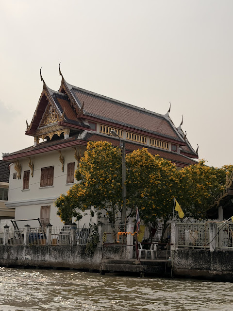 2026-01-21_15-01-37_Sharon_1031