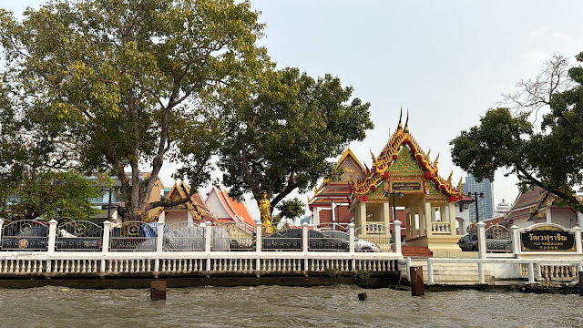 2026-01-21_15-06-23_Sharon_1039