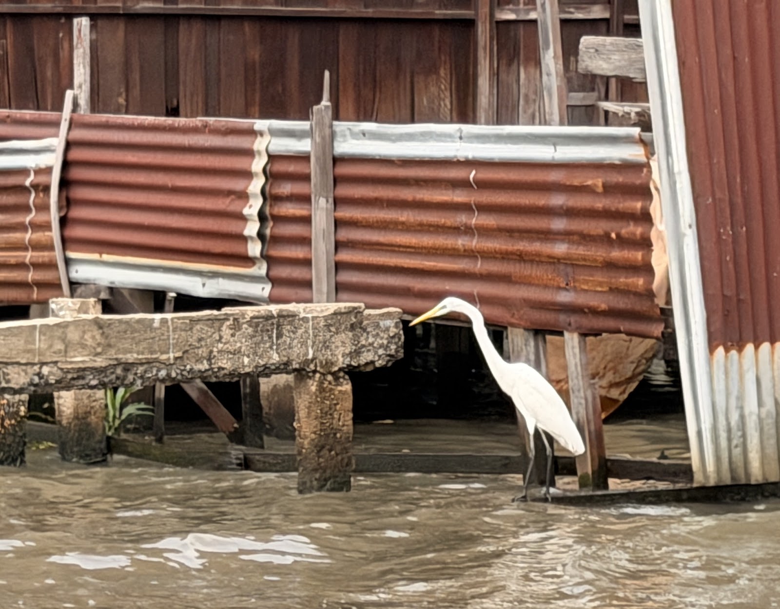 2026-01-21_15-08-34_Sharon_1043