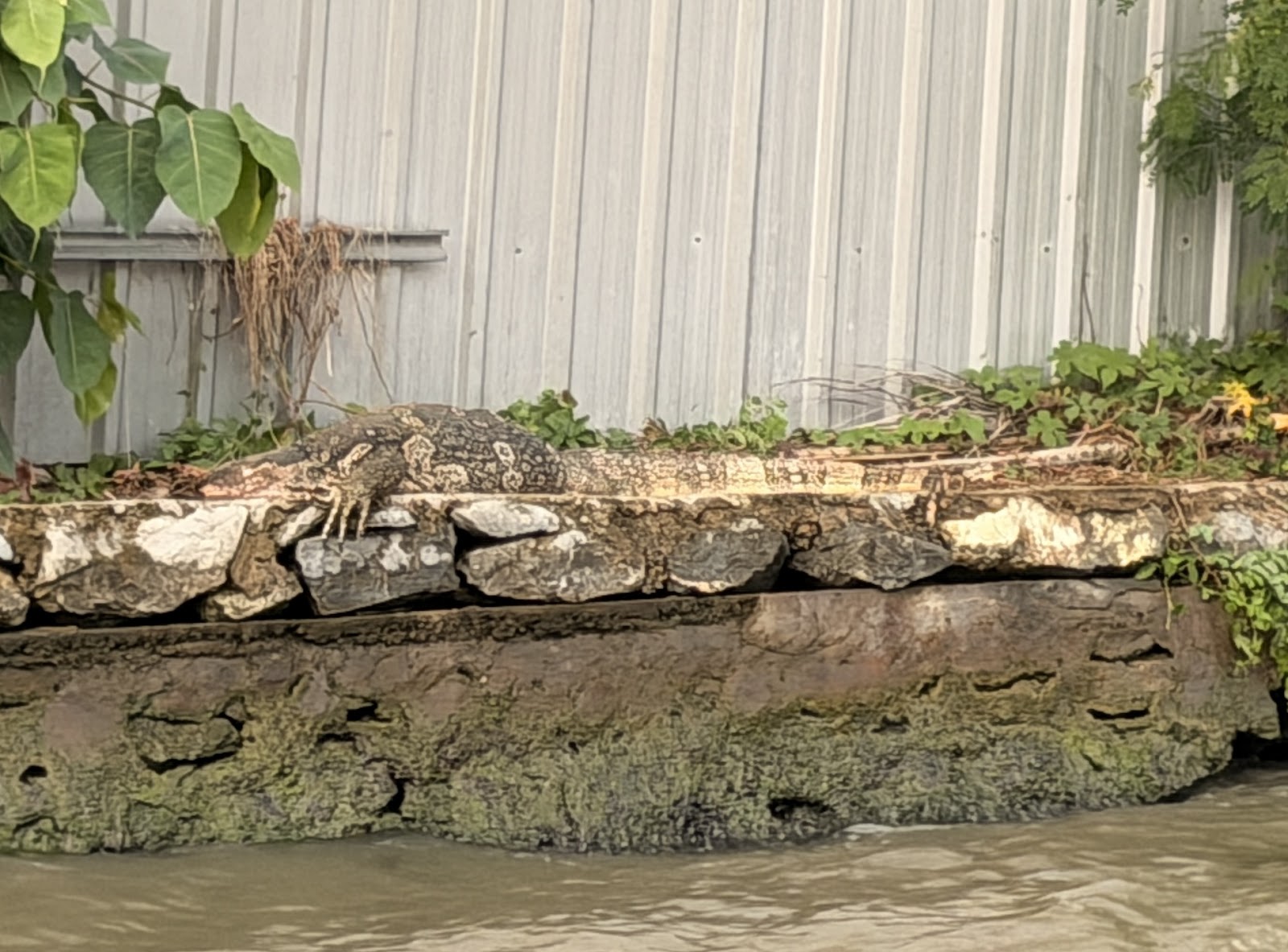 2026-01-21_15-08-42_Sharon_E1046