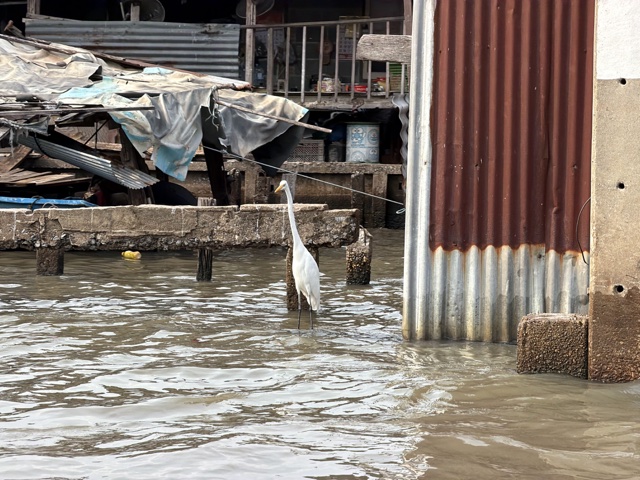 2026-01-21_15-11-38_Randy_2645