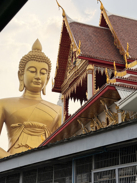 2026-01-21_15-13-59_Sharon_1058