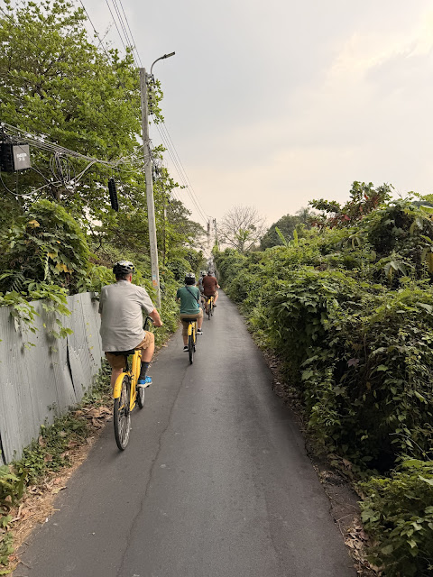 2026-01-21_16-39-47_Sharon_1086