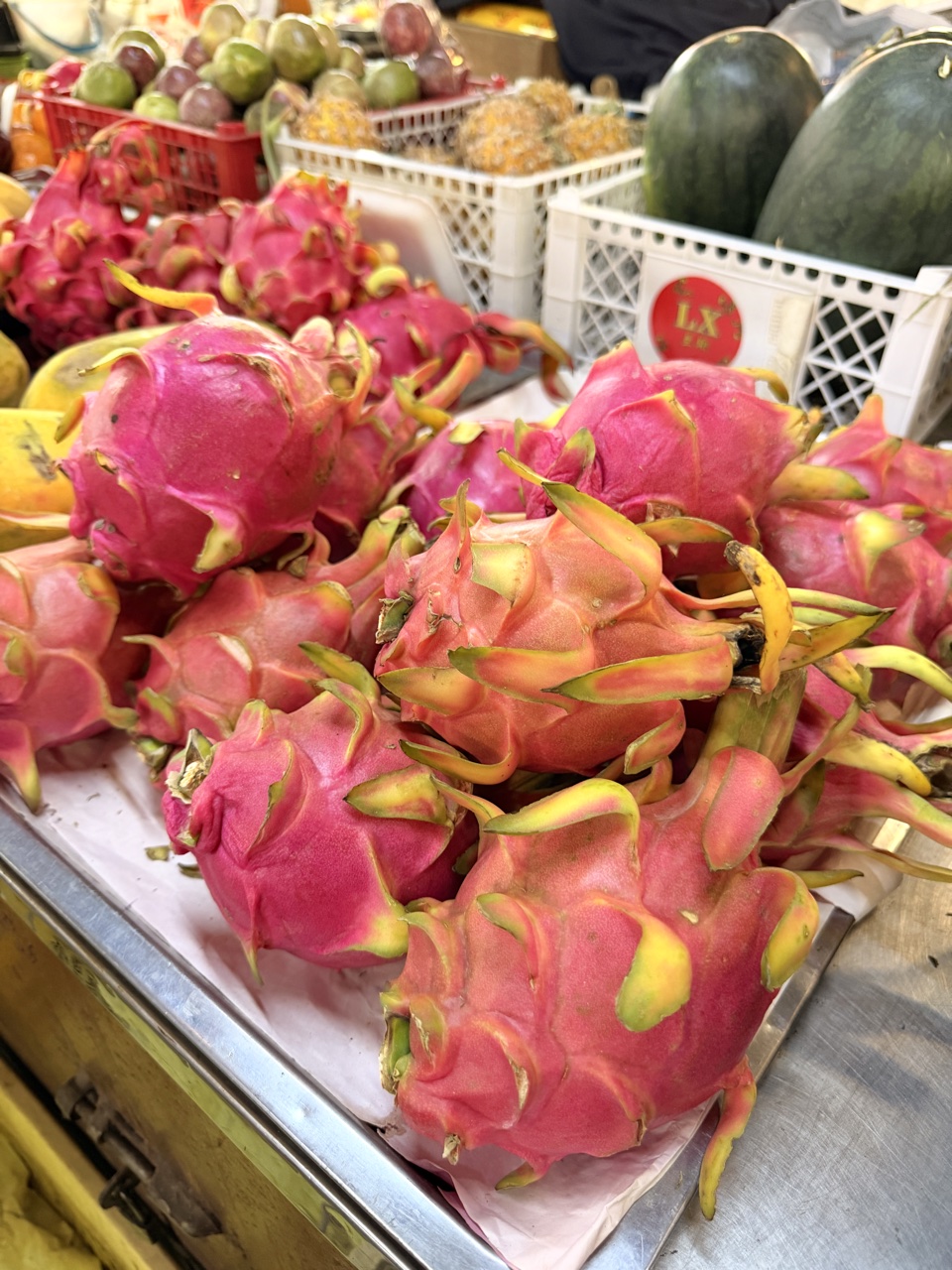 2026-01-22_17-03-35_Sharon_1161