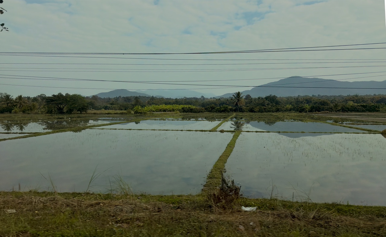 2026-01-23_09-31-49_Randy_2886