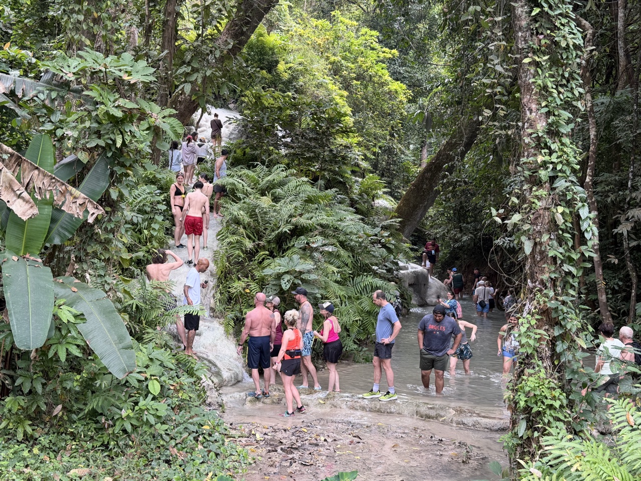 2026-01-23_10-04-17_Randy_2912