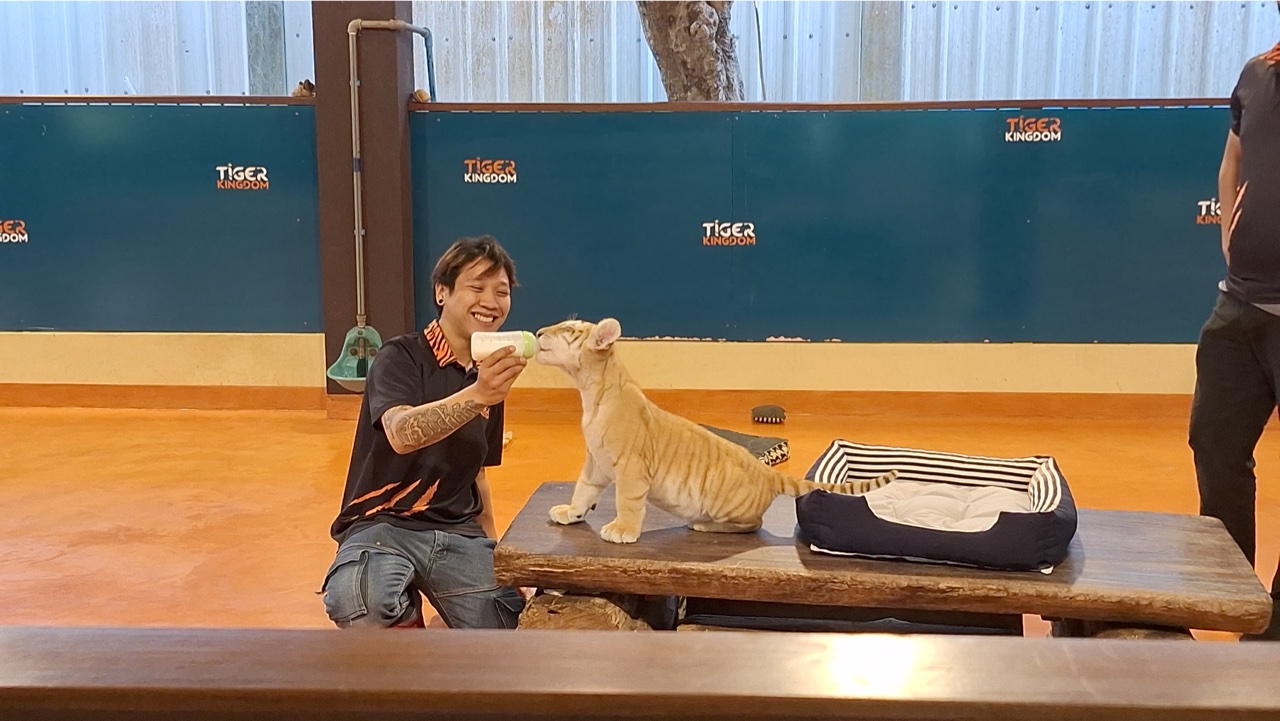 2026-01-23_13-25-25_Landon_135