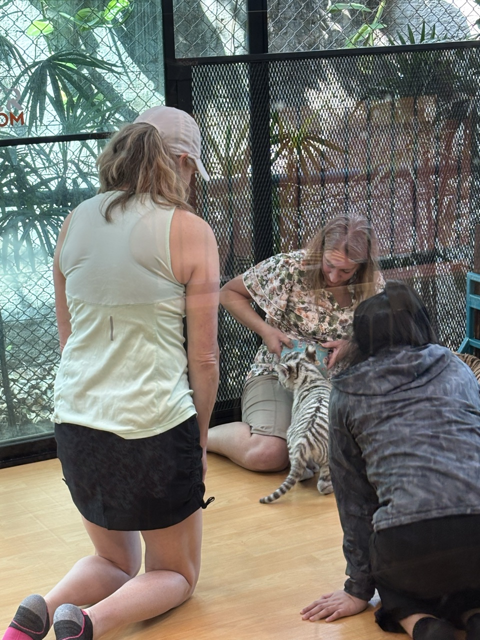 2026-01-23_13-33-13_Greg_0808