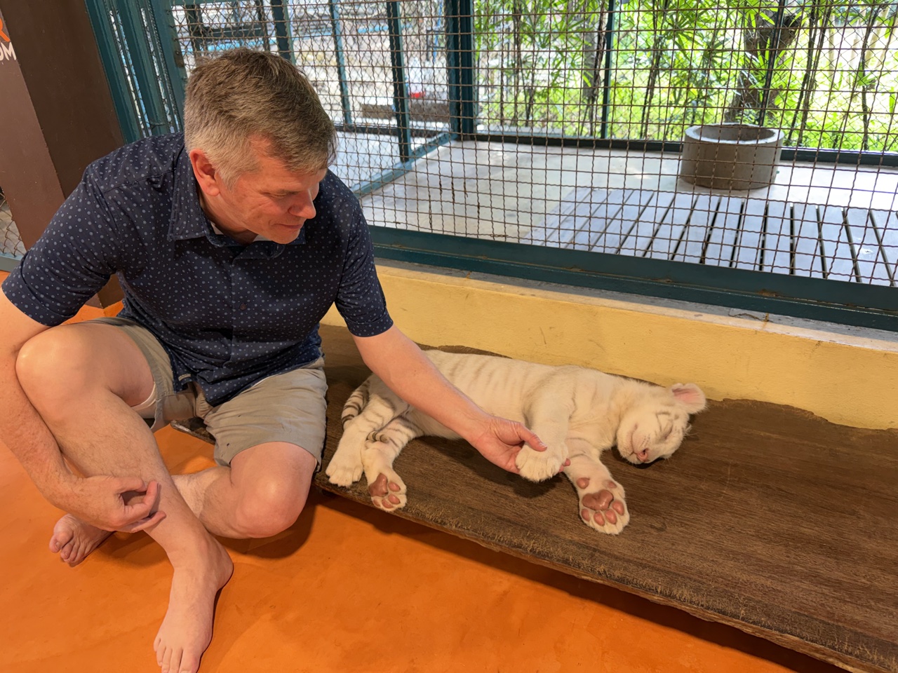 2026-01-23_13-38-20_Randy_3106