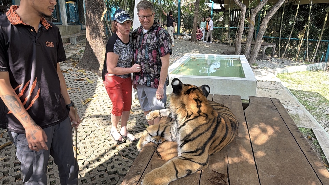 2026-01-23_13-58-18_Sharon_1368