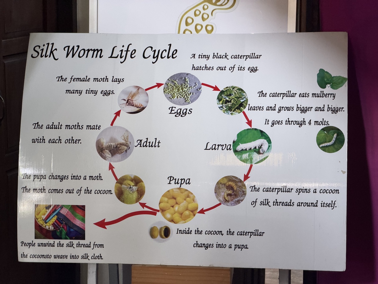 2026-01-23_15-26-55_Randy_3230