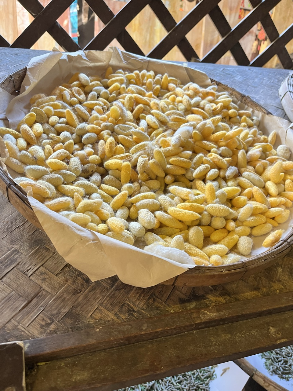 2026-01-23_15-27-10_Valerie_6134