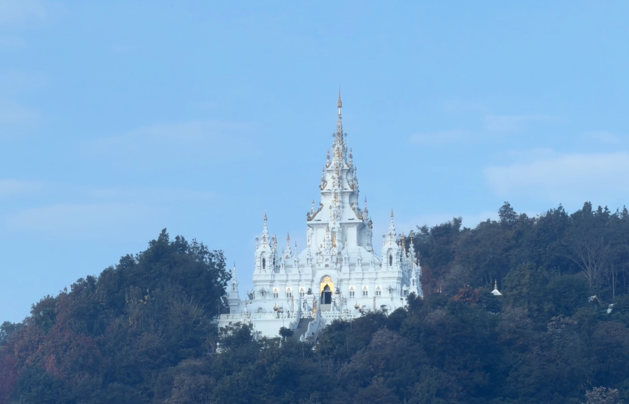 2026-01-24_08-22-03_Randy_E3296