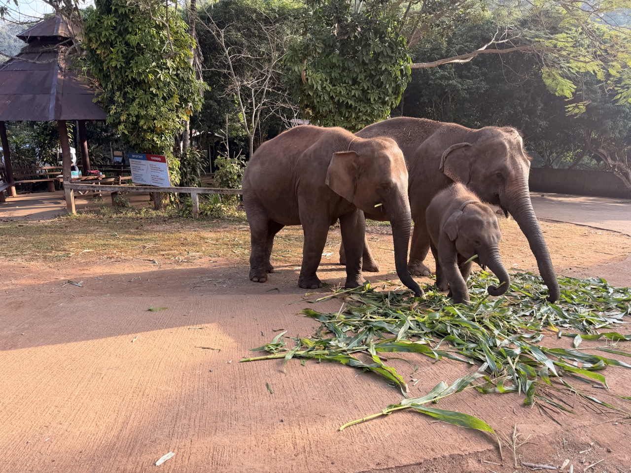 2026-01-24_08-43-43_Sharon_1775