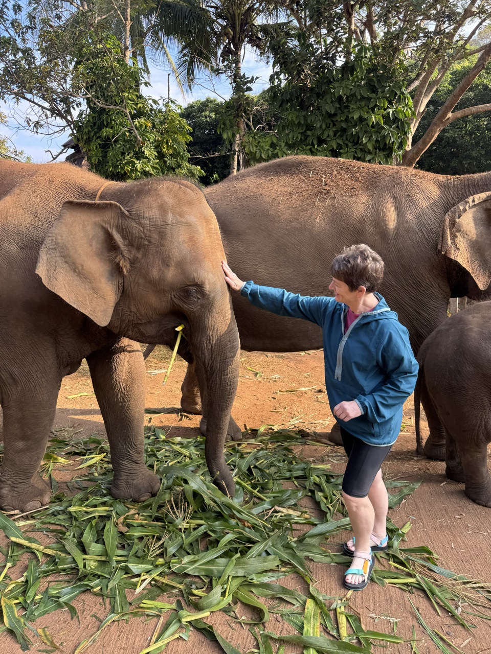 2026-01-24_08-45-46_Paul_1479