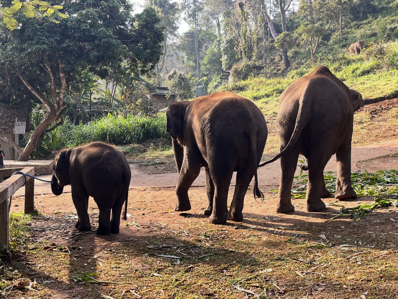 2026-01-24_08-47-07_Valerie_6162