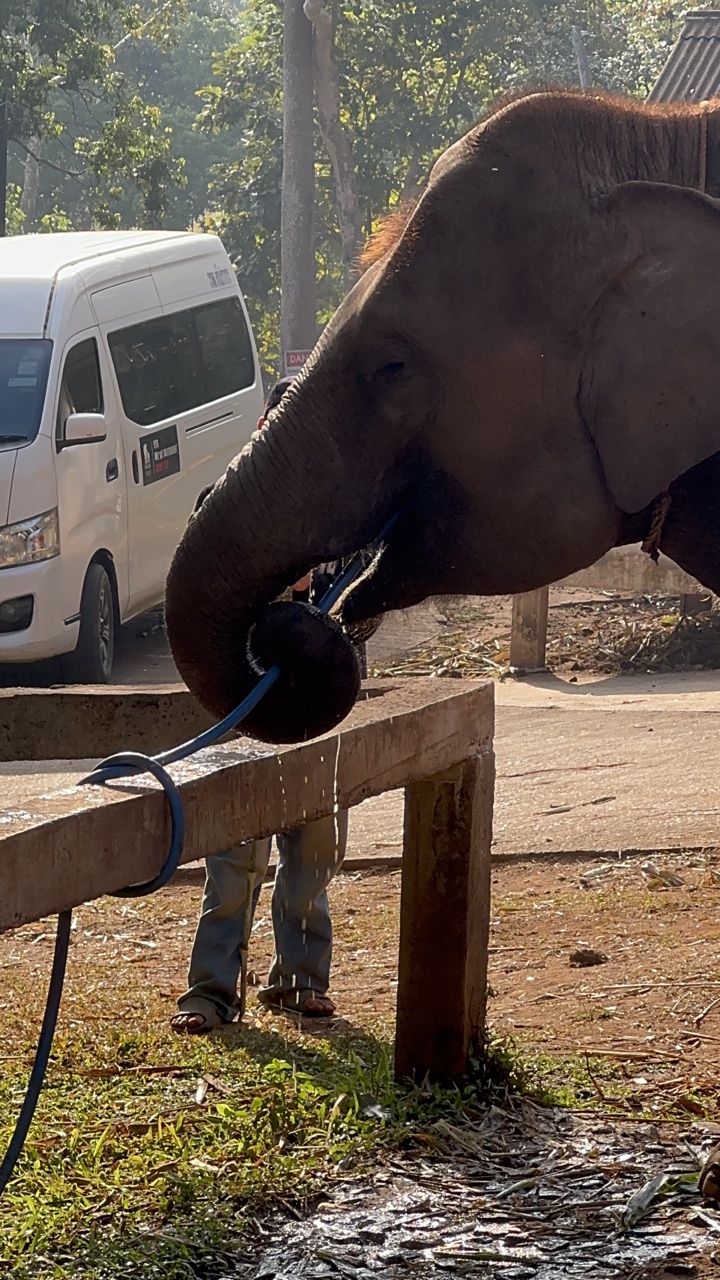 2026-01-24_08-47-42_Paul_1483