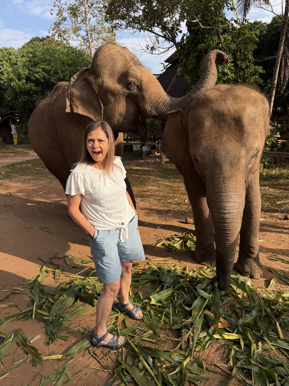 2026-01-24_08-51-33_Randy_3319