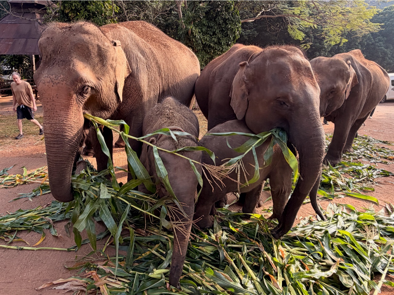 2026-01-24_08-53-55_Sharon_E1806