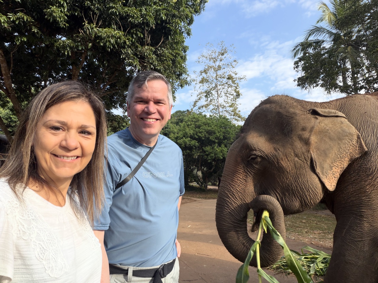 2026-01-24_08-54-24_Linette_5481