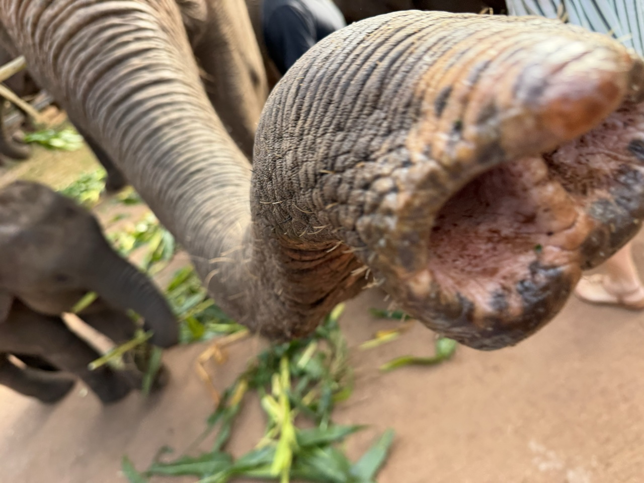 2026-01-24_08-55-25_Randy_3367