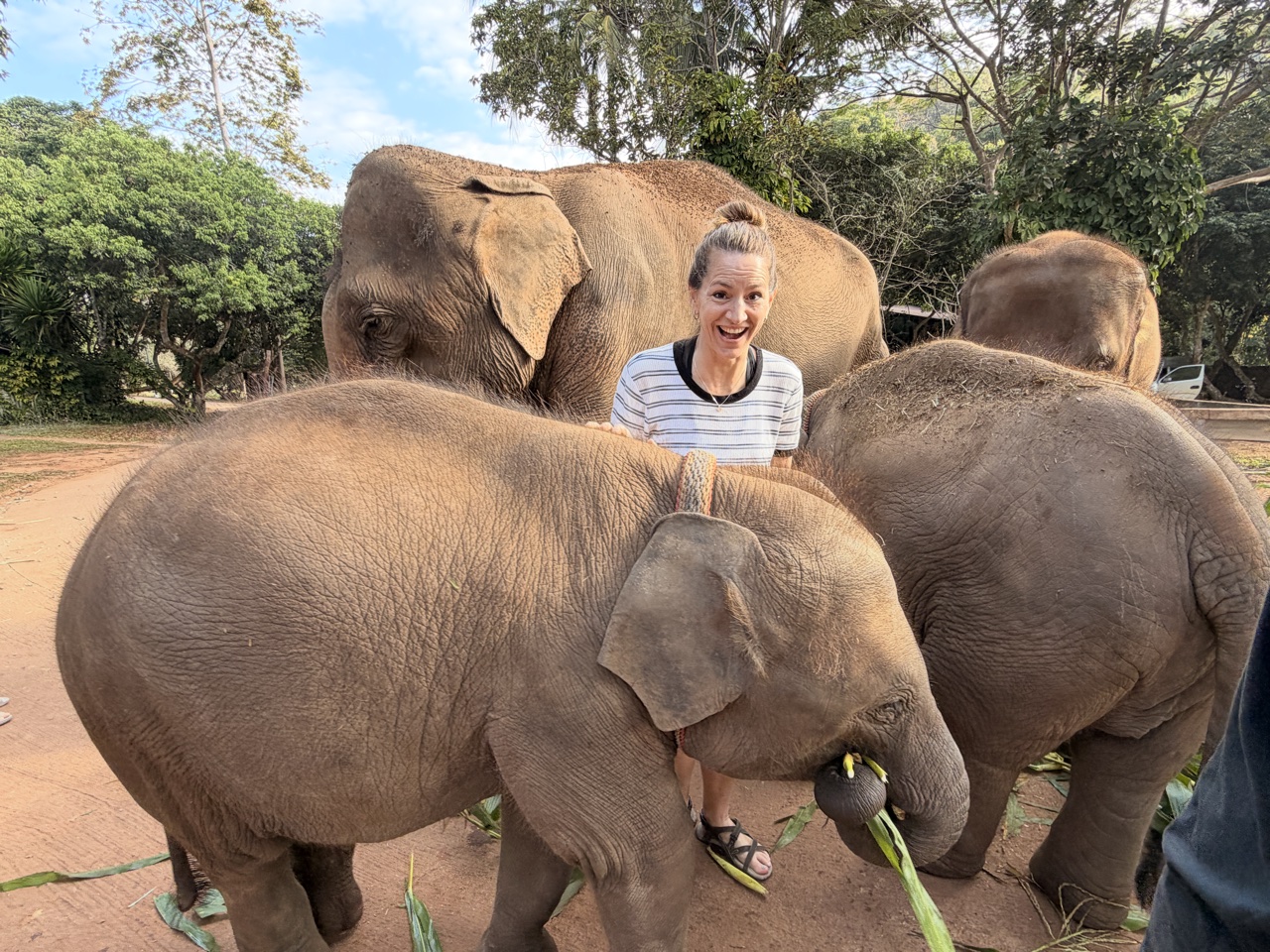 2026-01-24_08-55-42_Sharon_1817