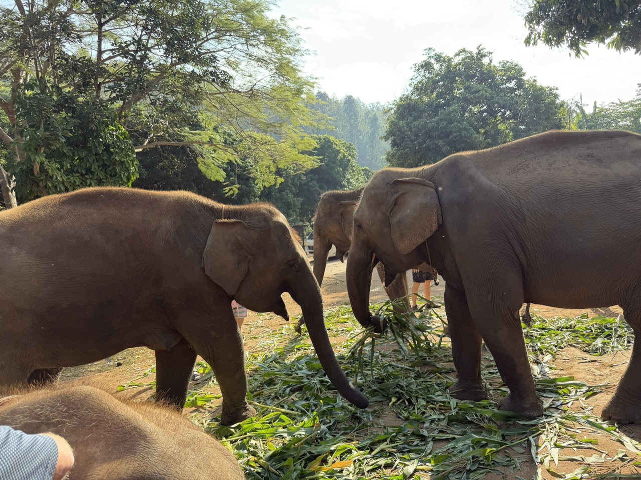 2026-01-24_09-26-49_Randy_3570