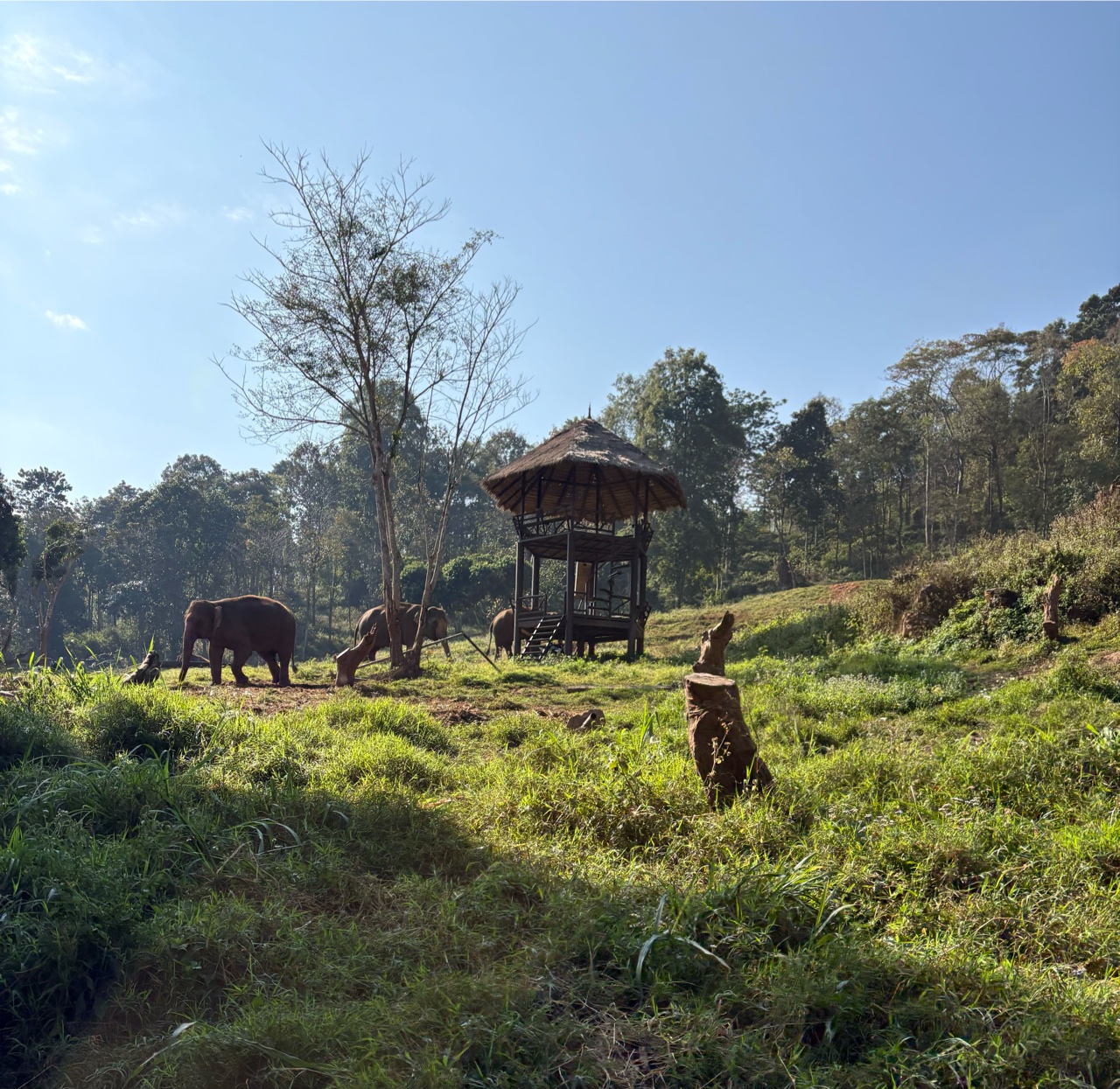 2026-01-24_10-00-54_Lesa_0454