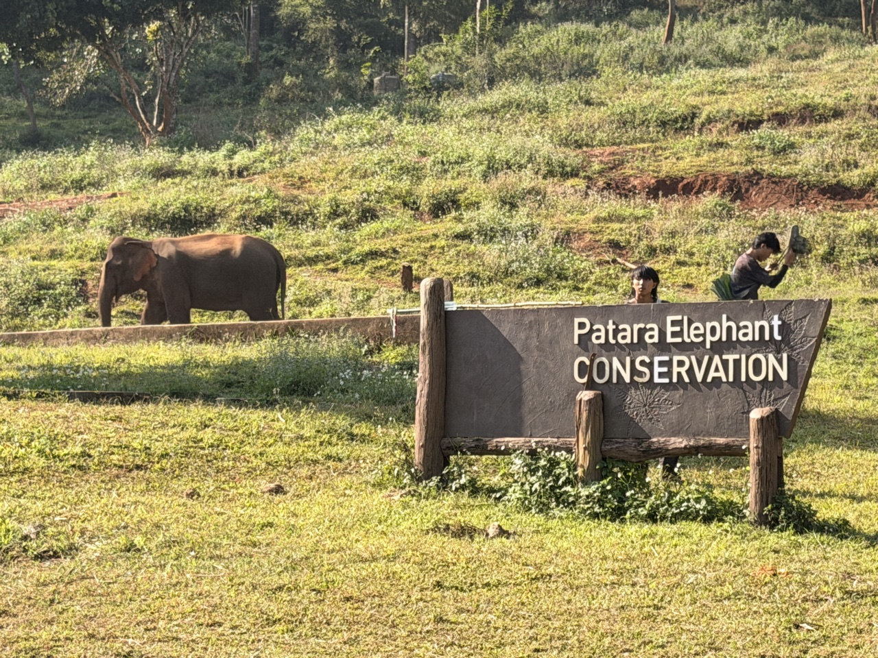 2026-01-24_10-01-26_Sharon_1907