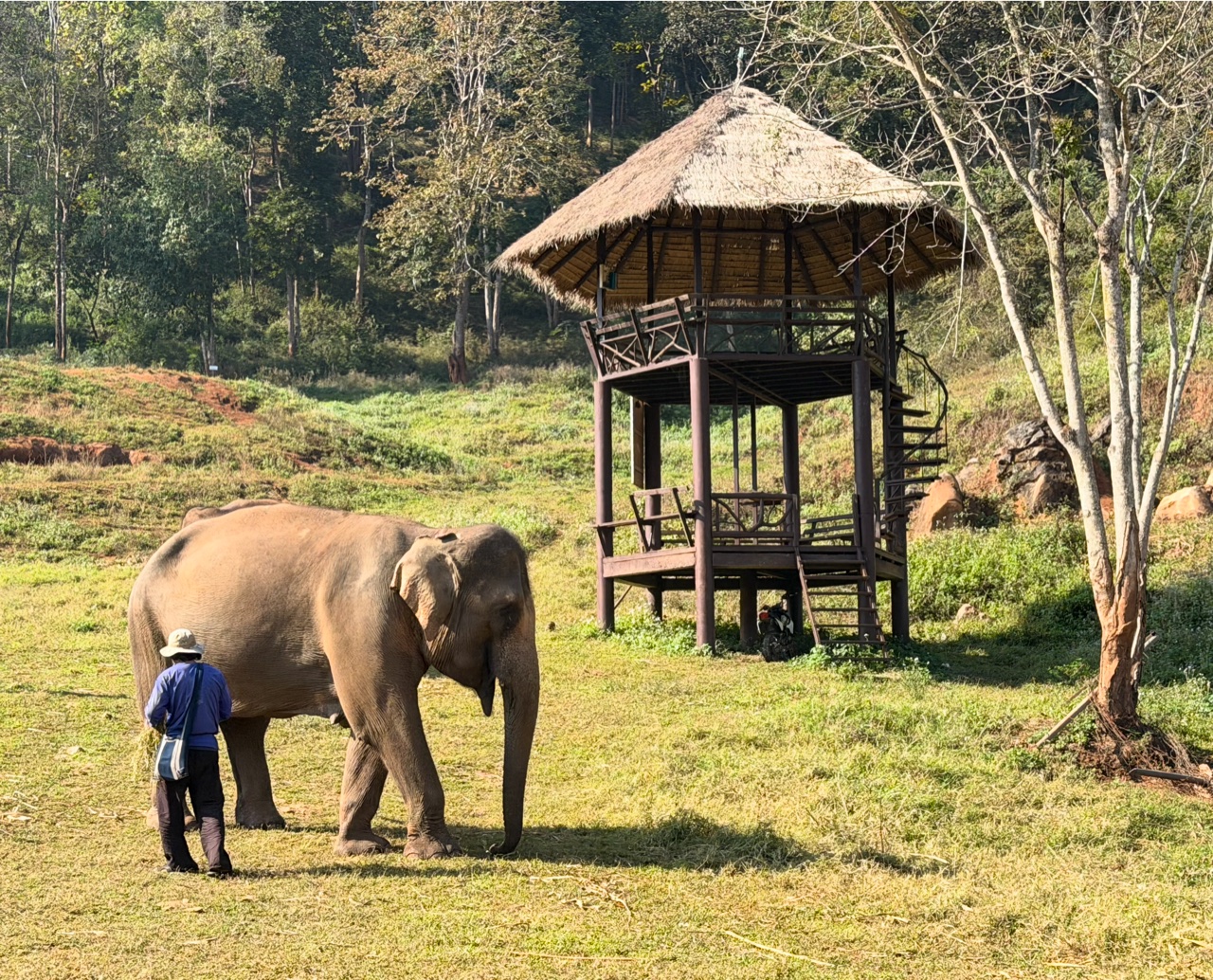 2026-01-24_10-01-47_Randy_3687