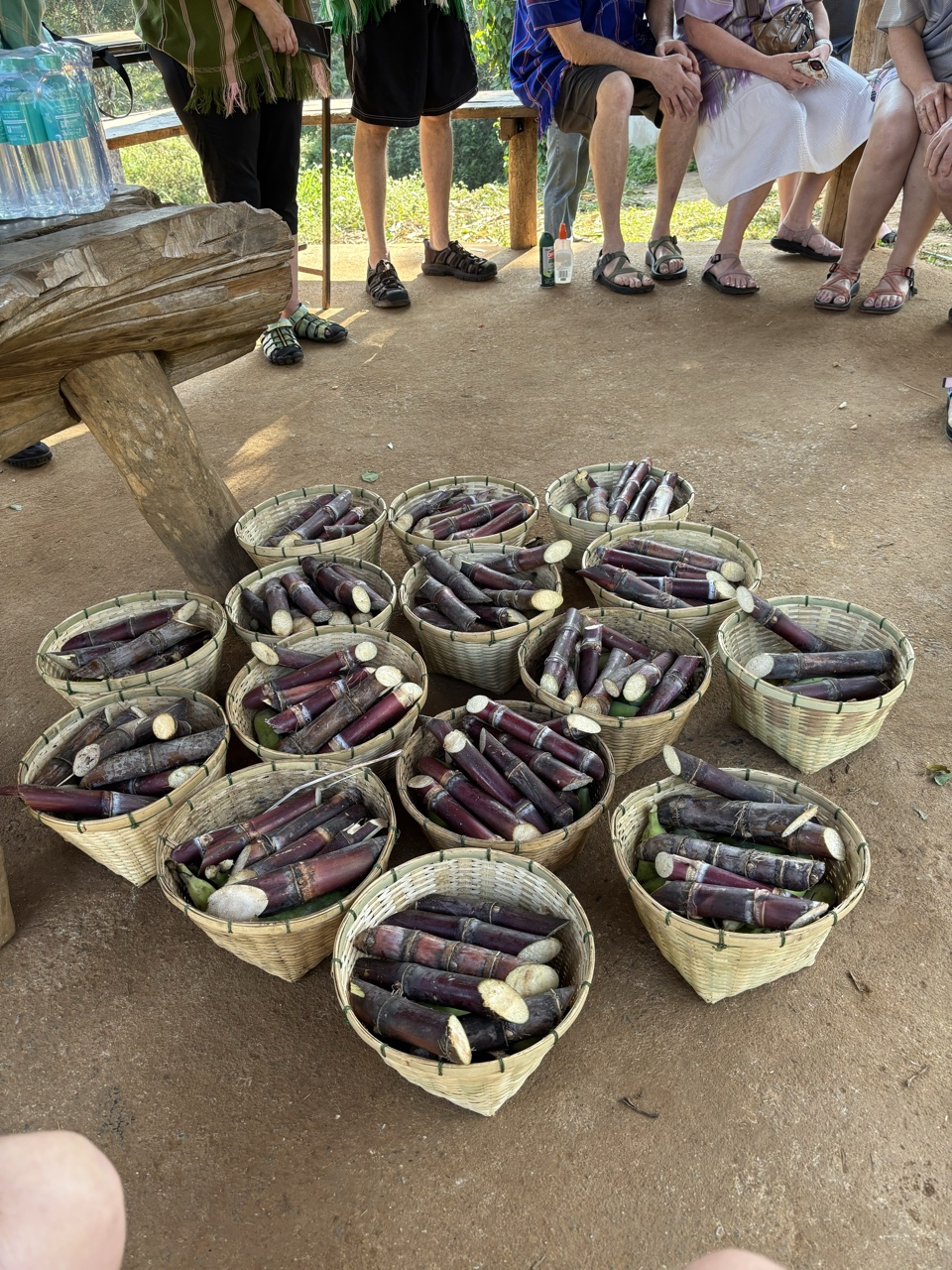 2026-01-24_10-03-00_Greg_0877