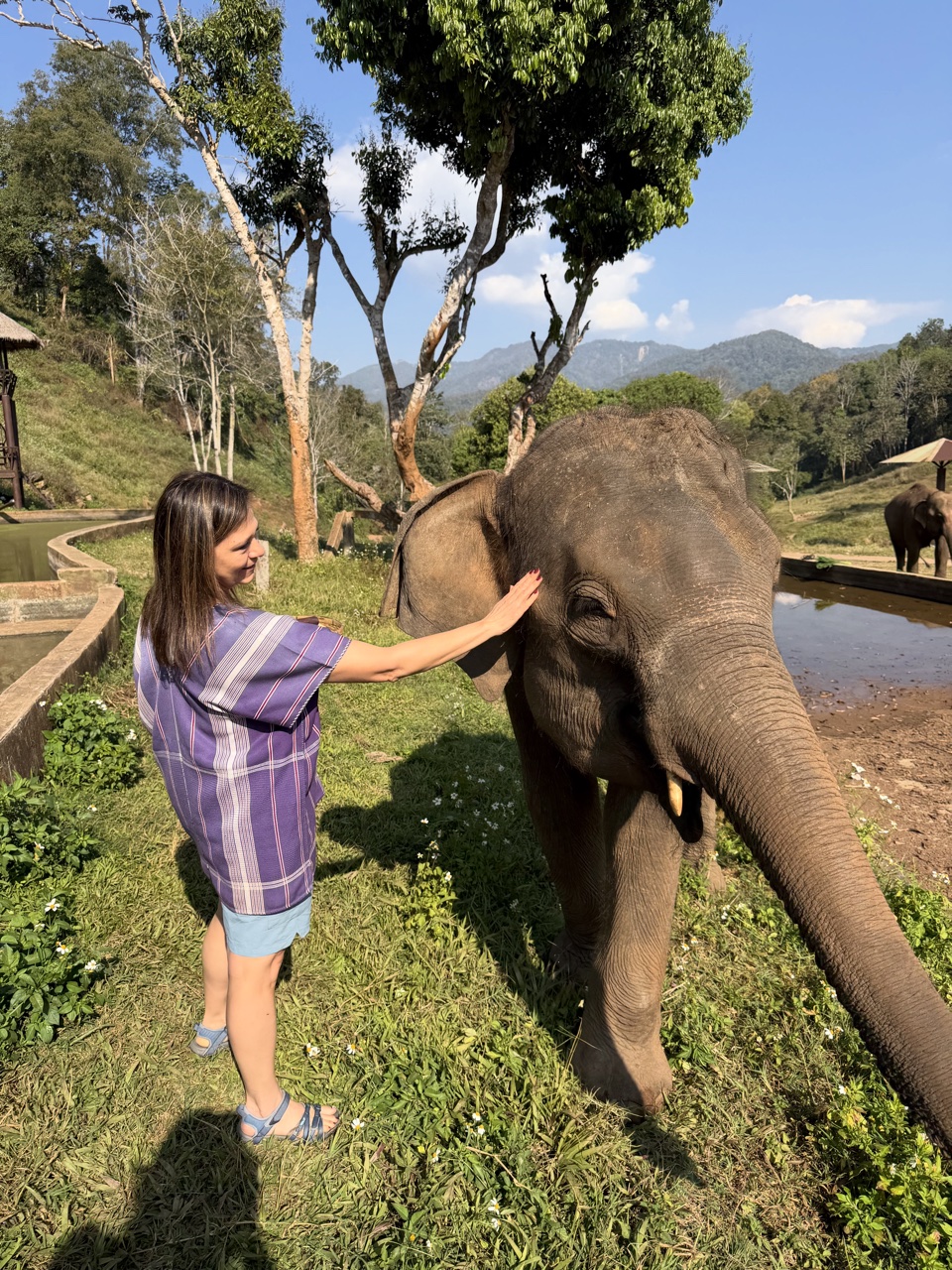 2026-01-24_10-08-41_Linette_5495