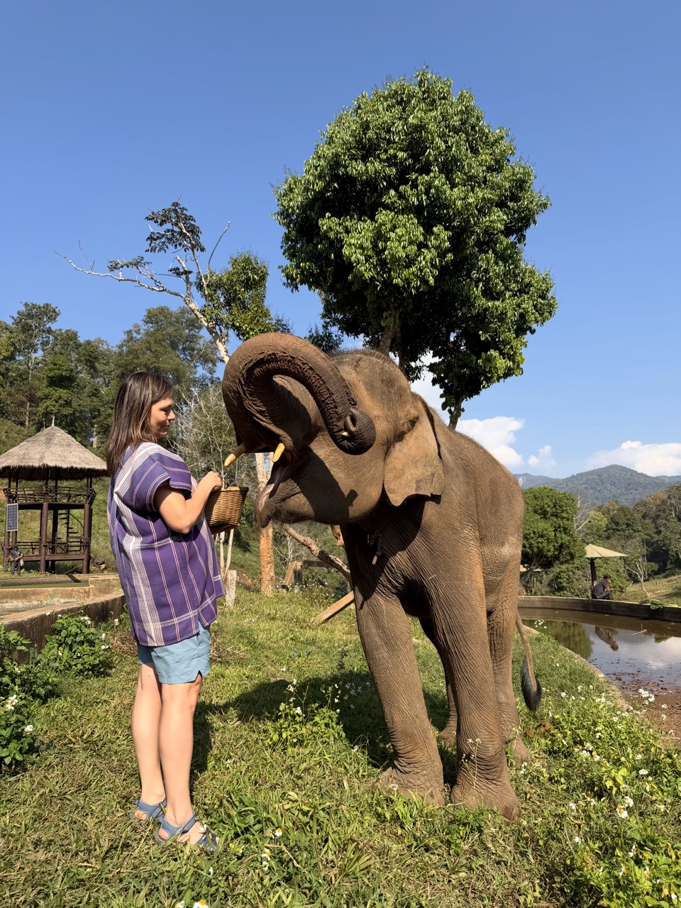 2026-01-24_10-08-48_Linette_5497