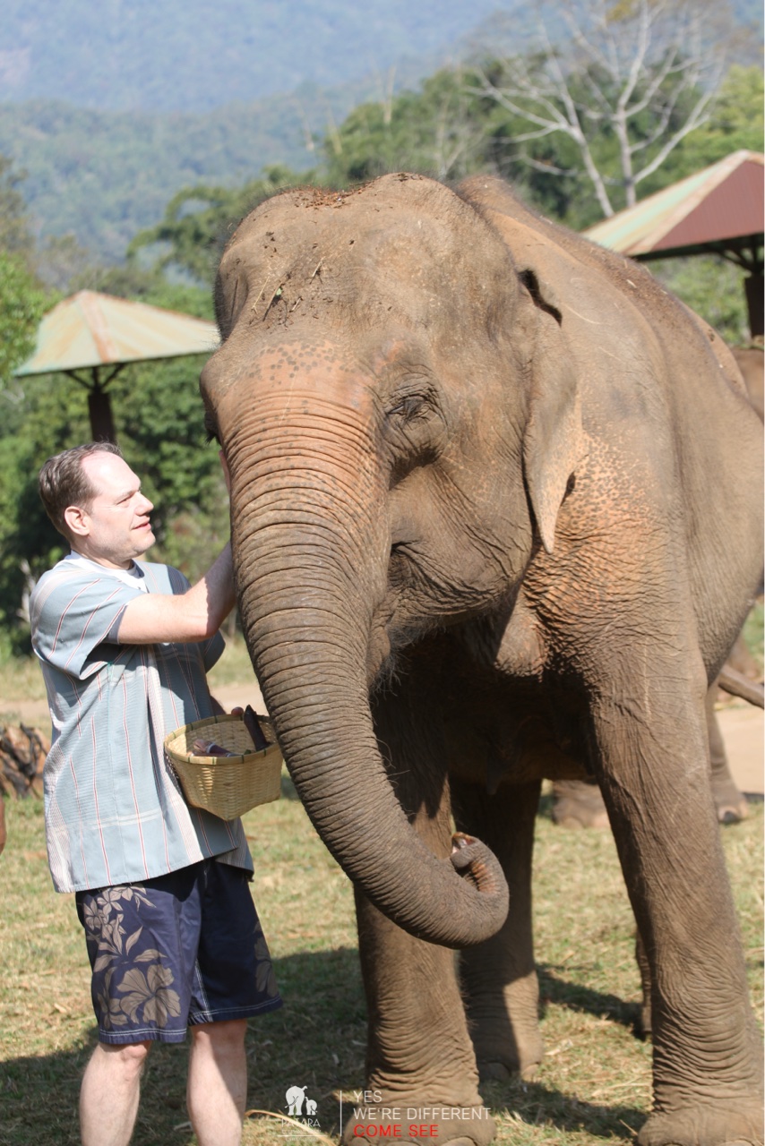 2026-01-24_10-10-40_Elephants_9241