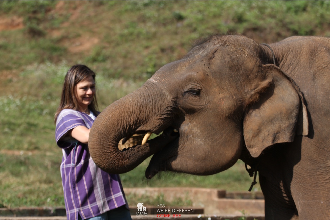 2026-01-24_10-11-07_Elephants_9213