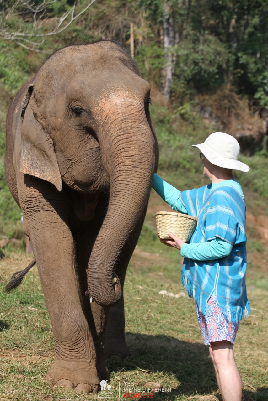 2026-01-24_10-12-22_Elephants_9245