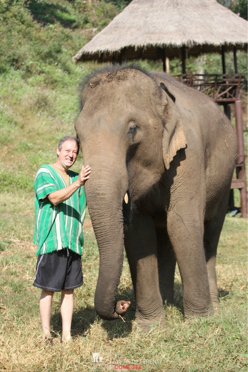 2026-01-24_10-13-00_Elephants_9267