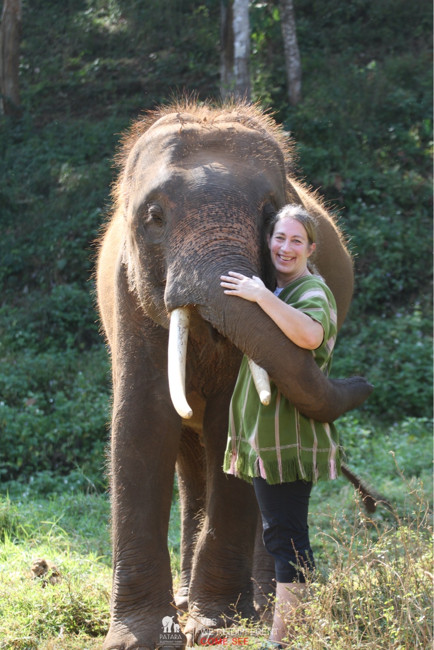 2026-01-24_10-13-00_Elephants_9280