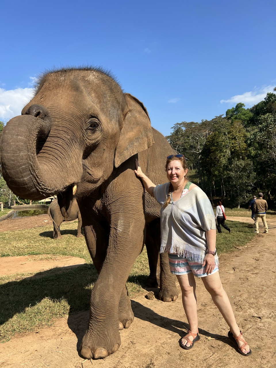 2026-01-24_10-13-56_Devo_7741